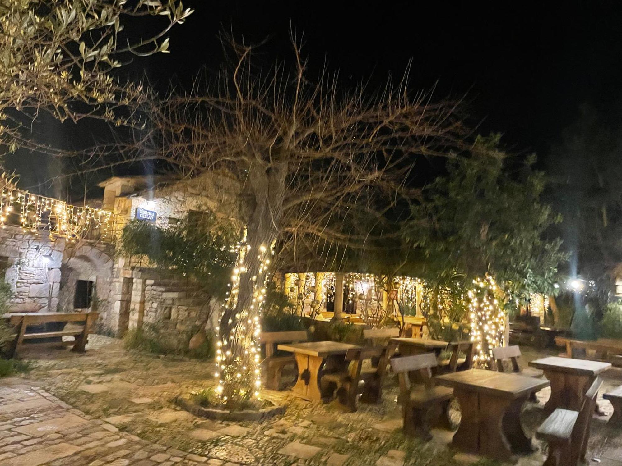 My Adriatic Place With Private Garden And Garage Šibenik Kültér fotó